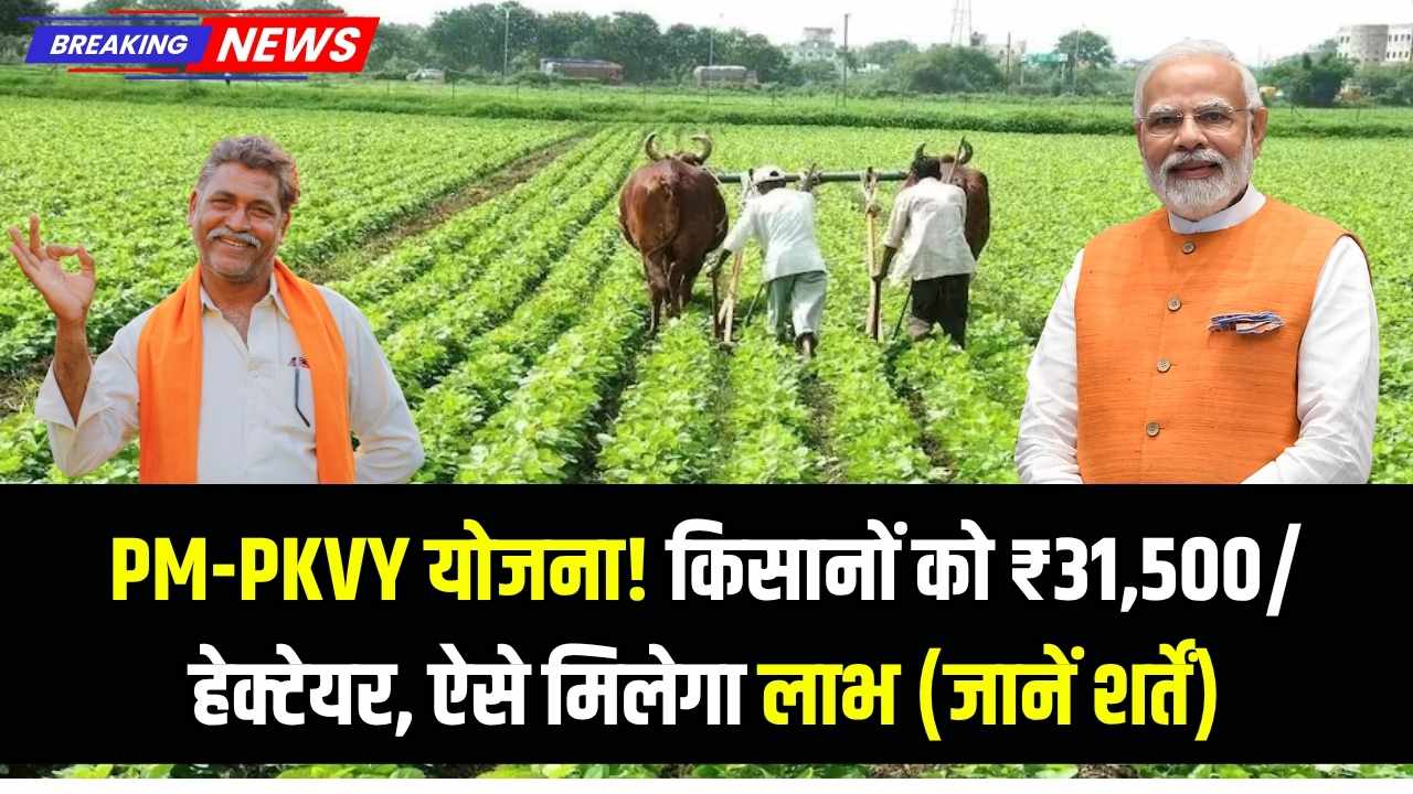 PM PKVY Yojana 2025: किसानों को मिलेगा ₹31,500 प्रति हेक्टेयर, जानें कैसे और किस शर्त पर मिलेगा फायदा