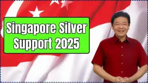 Singapore Silver Support 2025