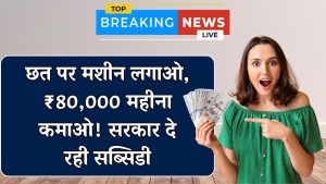 छत पर लगाएं ये मशीन और कमाएं ₹80,000 महीना, सरकार दे रही है सब्सिडी!